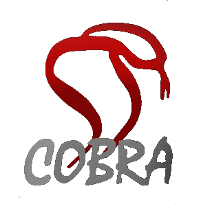 cobra-film-1.png